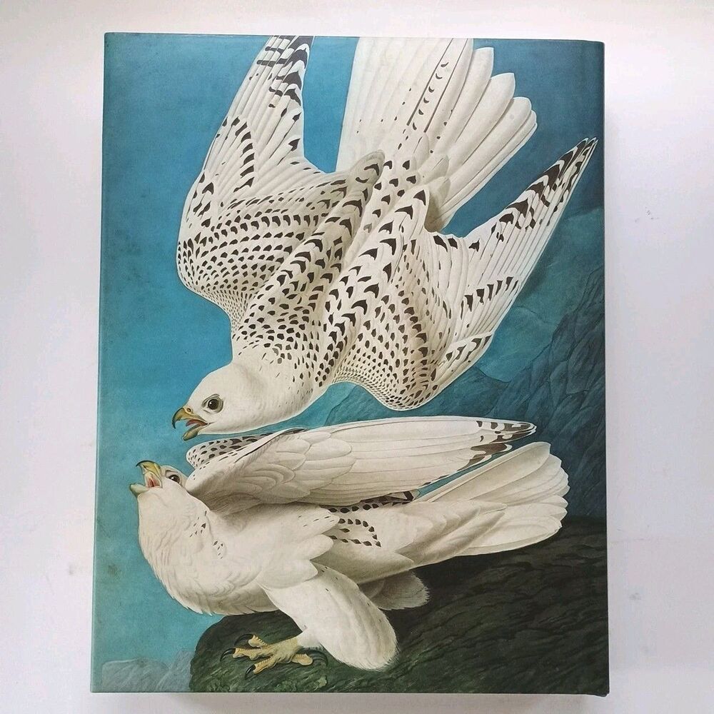 The Watercolors for the Birds of America- Audubon HC/DJ 1993 1 st Ed/2nd prtg - Picture 3 of 16